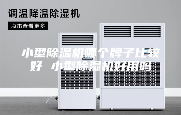 小型除湿机哪个牌子比较好 小型除湿机好用吗