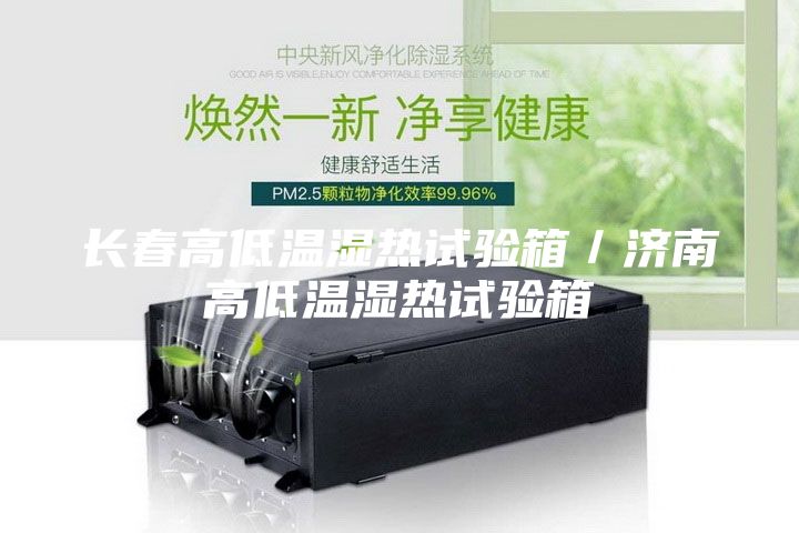 长春高低温湿热试验箱／济南高低温湿热试验箱