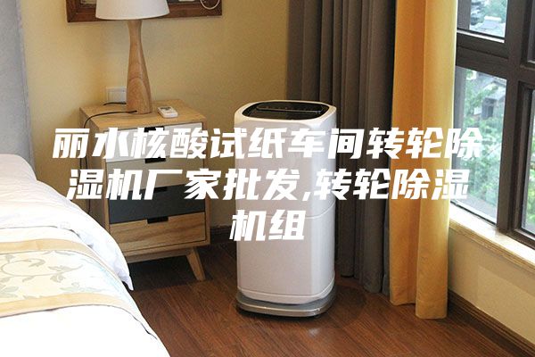 丽水核酸试纸车间转轮除湿机厂家批发,转轮除湿机组
