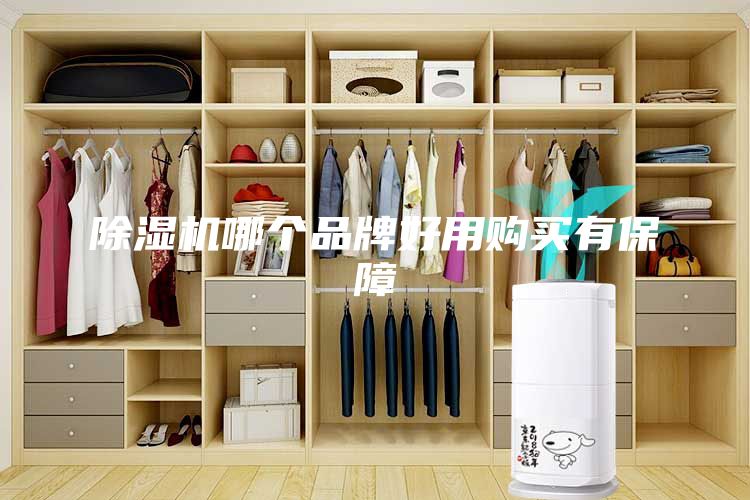 除湿机哪个品牌好用购买有保障