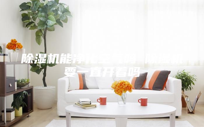 除湿机能净化空气吗 除湿机要一直开着吗