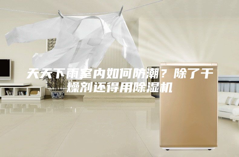 天天下雨室内如何防潮？除了干燥剂还得用除湿机