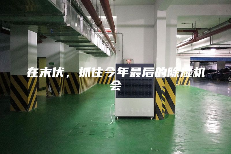 在末伏，抓住今年最后的除湿机会