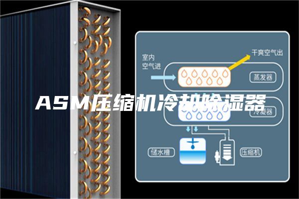 ASM压缩机冷却除湿器