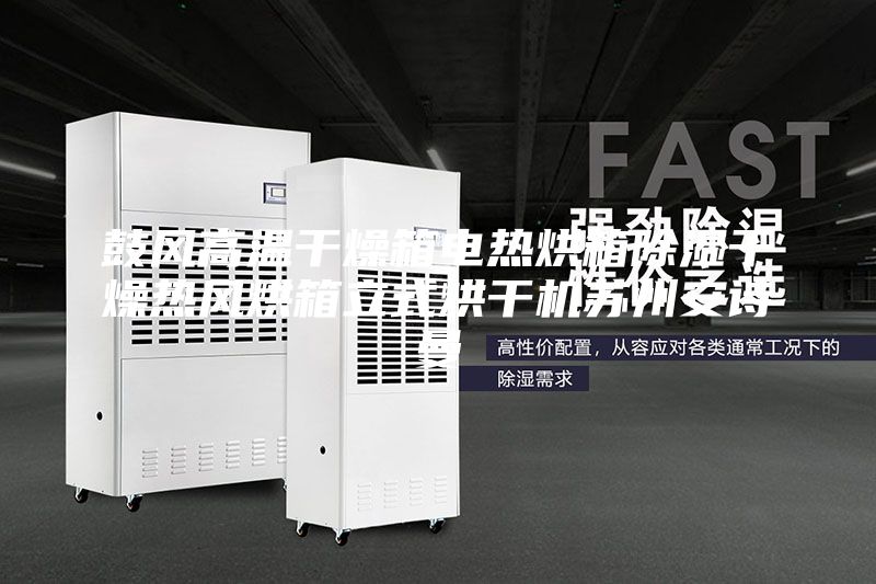 鼓风高温干燥箱电热烘箱除湿干燥热风烘箱立式烘干机苏州安诗曼