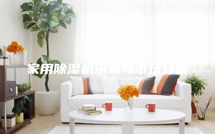家用除湿机未来与市场分析