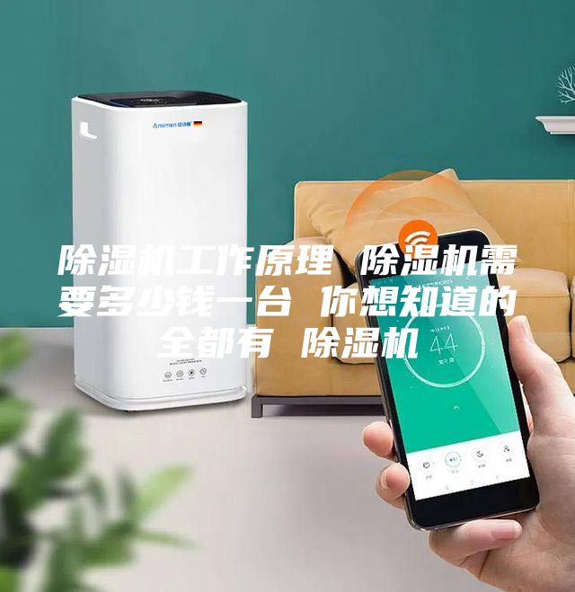 除湿机工作原理 除湿机需要多少钱一台 你想知道的全都有 除湿机