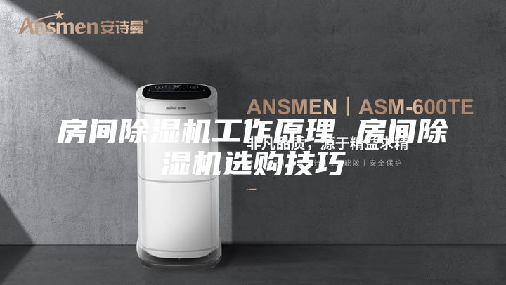 房间除湿机工作原理 房间除湿机选购技巧