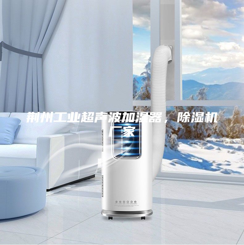 荆州工业超声波加湿器，除湿机厂家