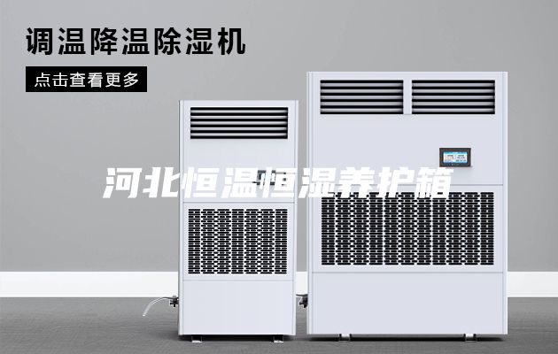 河北恒温恒湿养护箱