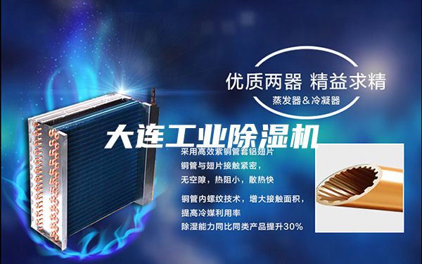 大连工业除湿机