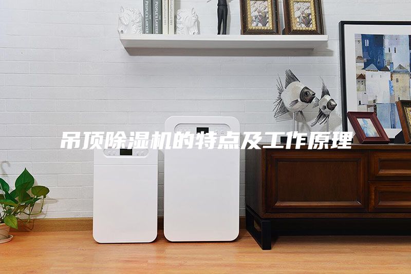 吊顶除湿机的特点及工作原理