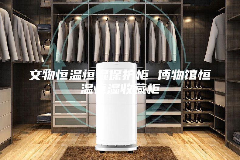 文物恒温恒湿保护柜 博物馆恒温恒湿收藏柜