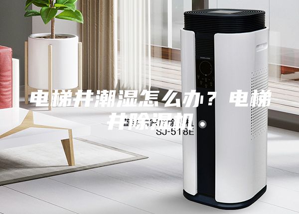 电梯井潮湿怎么办？电梯井除湿机