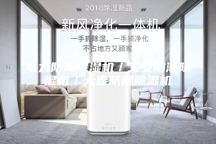 电力防潮除湿机／工业防潮除湿机／大连防潮除湿机