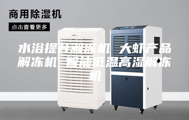 水浴提升解冻机 大虾产品解冻机 智能低温高湿解冻机