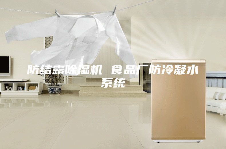 防结露除湿机 食品厂防冷凝水系统