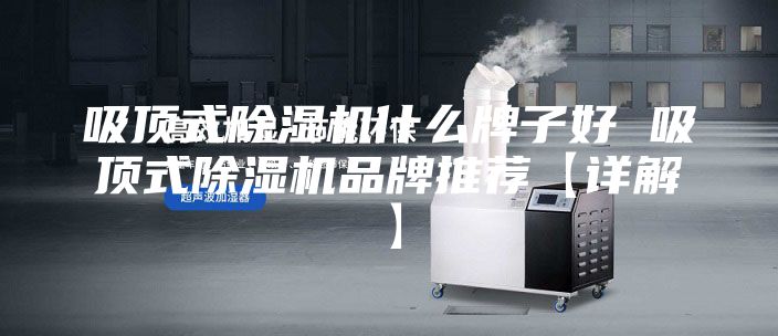 吸顶式除湿机什么牌子好 吸顶式除湿机品牌推荐【详解】