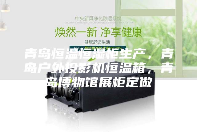 青岛恒温恒湿柜生产，青岛户外投影机恒温箱，青岛博物馆展柜定做
