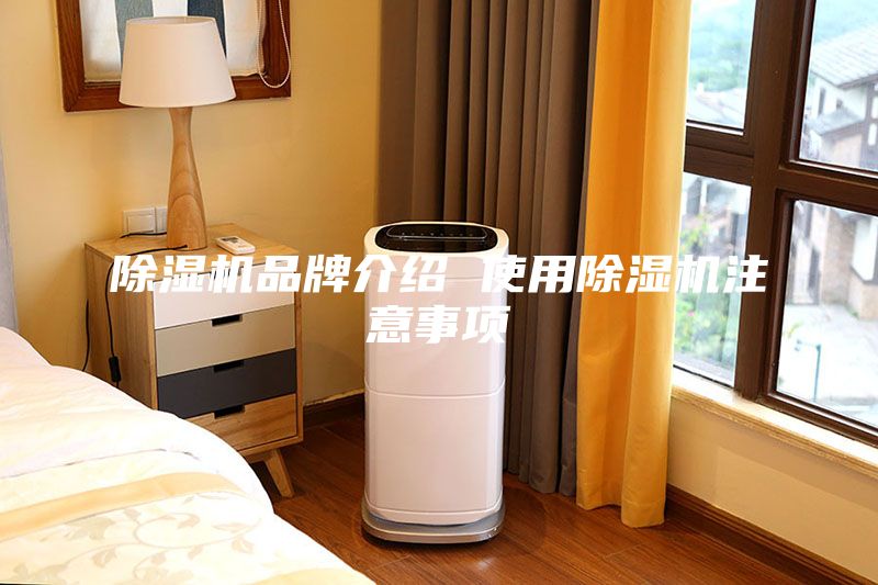 除湿机品牌介绍 使用除湿机注意事项