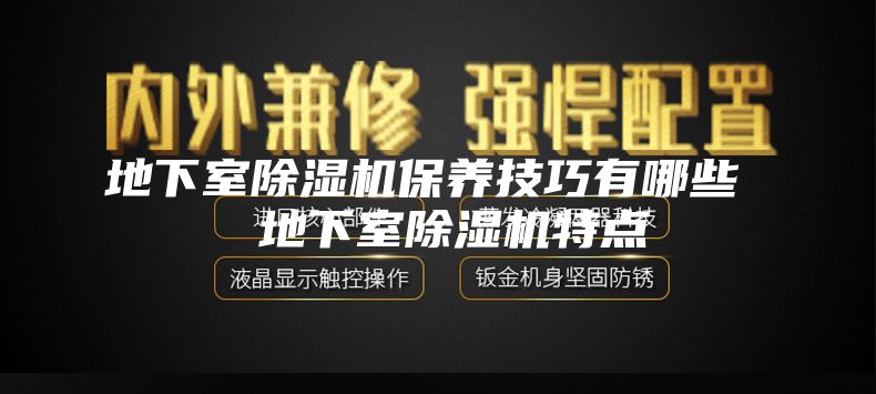 地下室除湿机保养技巧有哪些  地下室除湿机特点