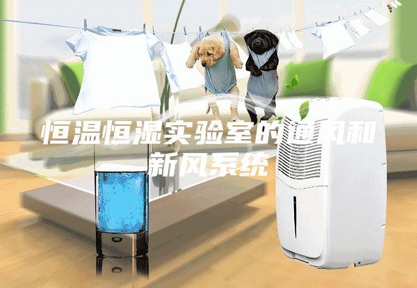 恒温恒湿实验室的通风和新风系统
