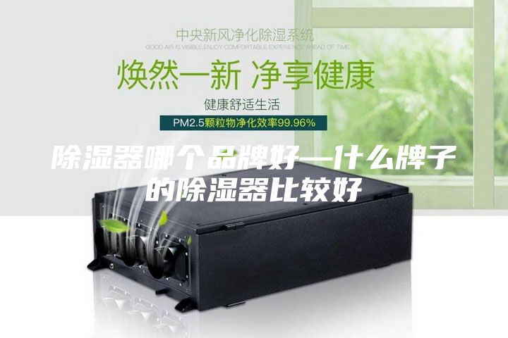 除湿器哪个品牌好—什么牌子的除湿器比较好