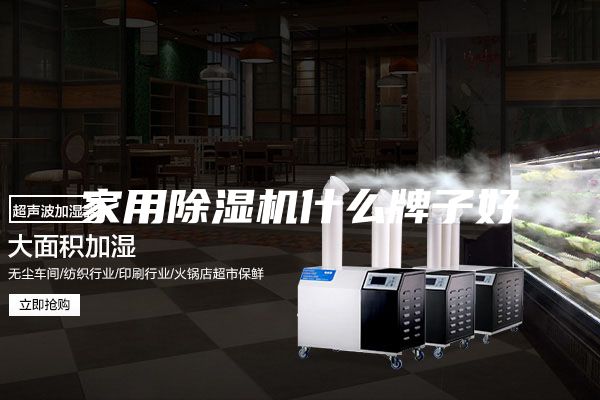 家用除湿机什么牌子好