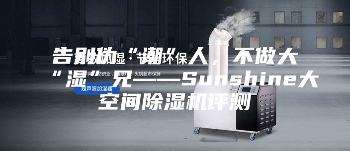 告别伪“潮”人，不做大“湿”兄——Sunshine大空间除湿机评测