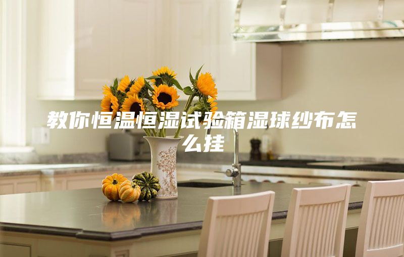 教你恒温恒湿试验箱湿球纱布怎么挂