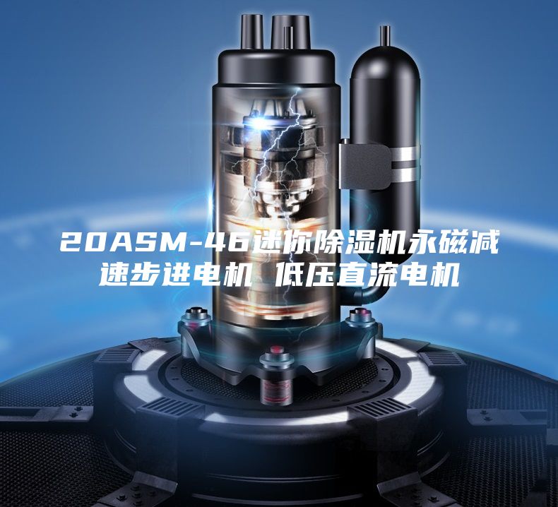 20ASM-46迷你除湿机永磁减速步进电机 低压直流电机