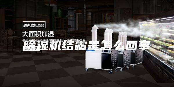 除湿机结霜是怎么回事