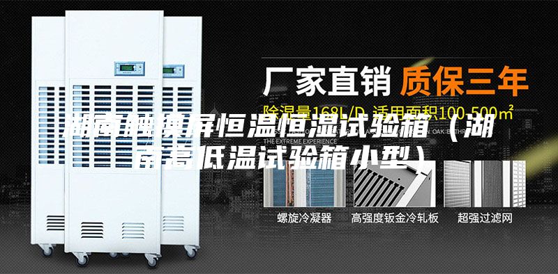 湖南触摸屏恒温恒湿试验箱（湖南高低温试验箱小型）