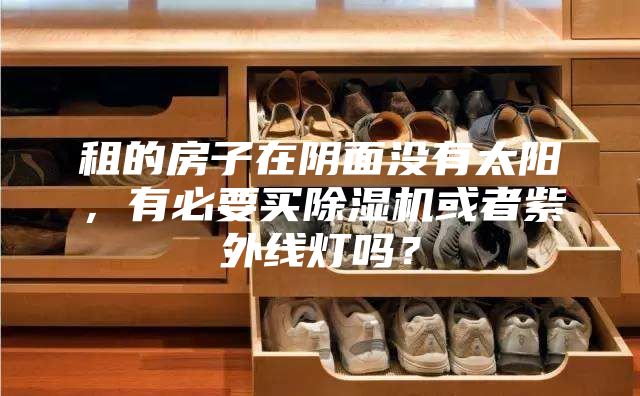 租的房子在阴面没有太阳，有必要买除湿机或者紫外线灯吗？