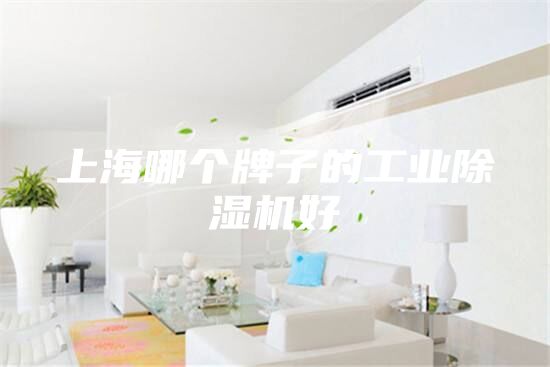 上海哪个牌子的工业除湿机好