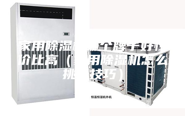 家用除湿机哪个牌子好性价比高（家用除湿机怎么挑选技巧）