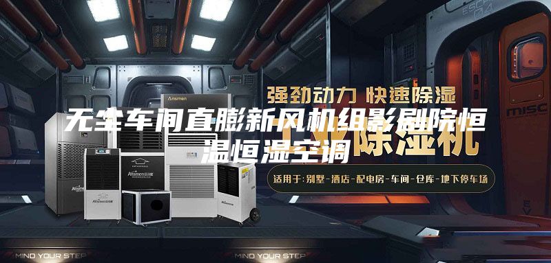 无尘车间直膨新风机组影剧院恒温恒湿空调
