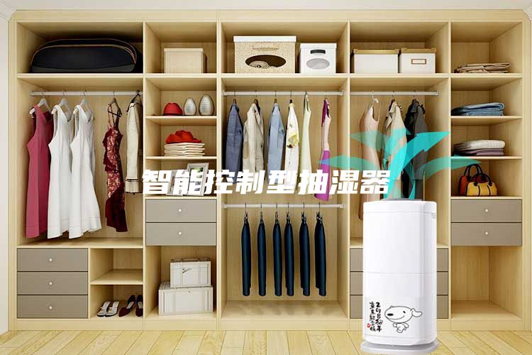 智能控制型抽湿器
