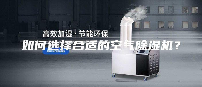 如何选择合适的空气除湿机？