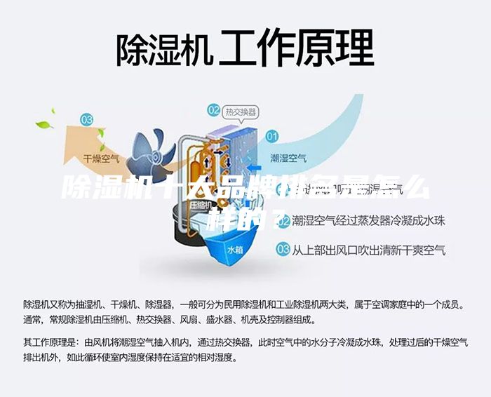 除湿机十大品牌排名是怎么样的？