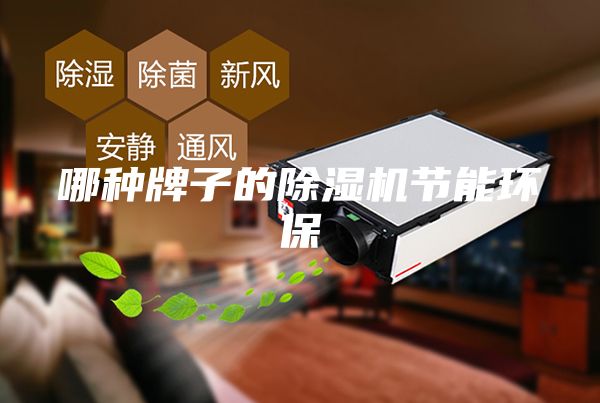 哪种牌子的除湿机节能环保
