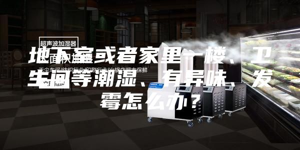 地下室或者家里一楼、卫生间等潮湿、有异味、发霉怎么办？