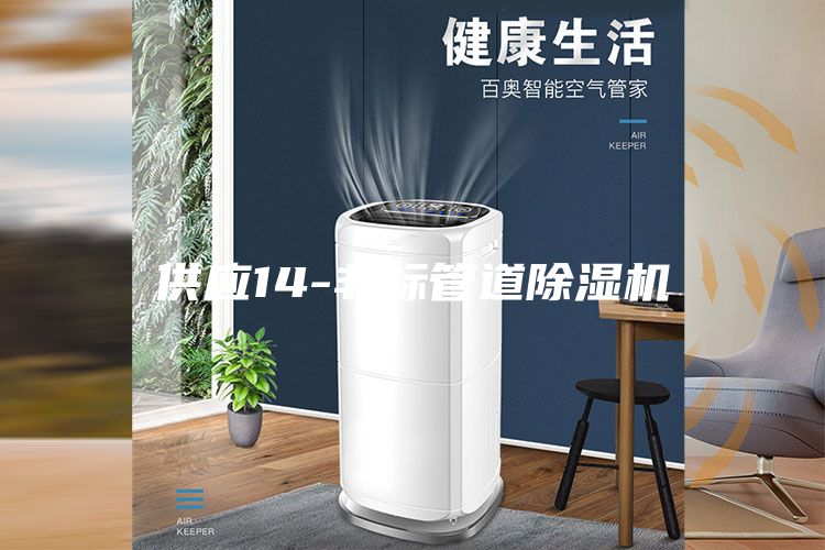 供应14-非标管道除湿机
