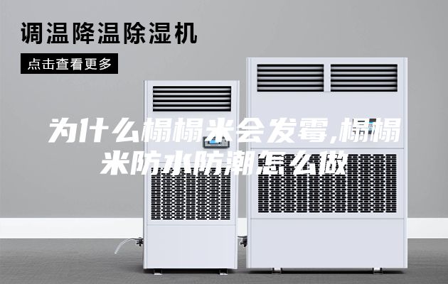 为什么榻榻米会发霉,榻榻米防水防潮怎么做