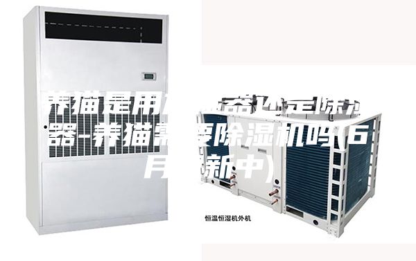 养猫是用加湿器还是除湿器-养猫需要除湿机吗(6月更新中)