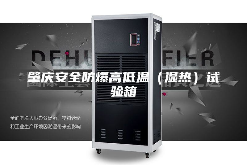 肇庆安全防爆高低温（湿热）试验箱