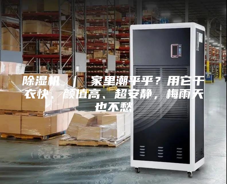 除湿机 ｜ 家里潮乎乎？用它干衣快、颜值高、超安静，梅雨天也不愁