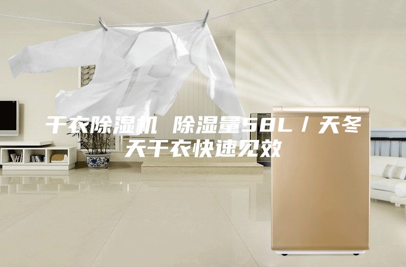 干衣除湿机 除湿量58L／天冬天干衣快速见效