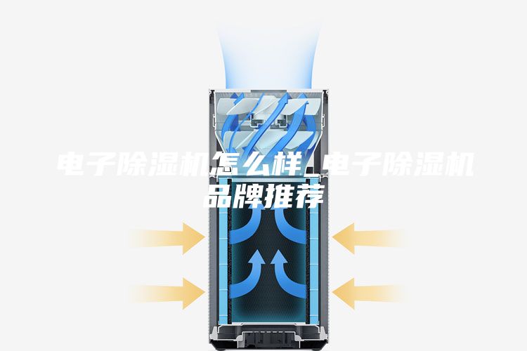 电子除湿机怎么样_电子除湿机品牌推荐