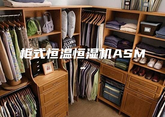 柜式恒温恒湿机ASM-